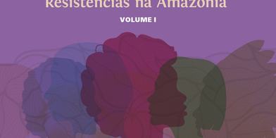 Direitos Humanos Das Mulheres Plra Vol 1